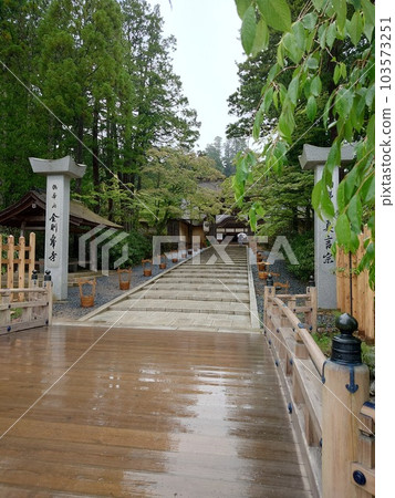 雨中的高野山金剛峰寺 103573251