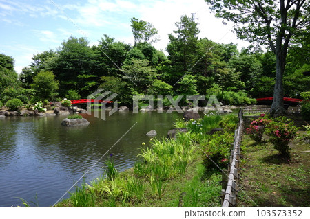濱川運動公園的鳶尾花 濱川運動公園的鳶尾花 103573352