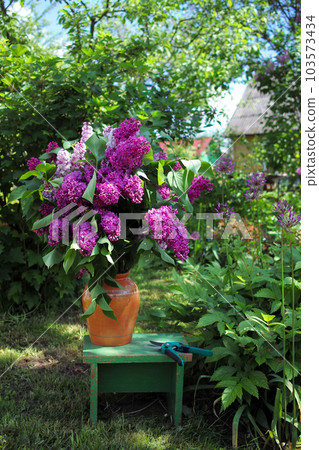 Lilac Flowers Bouquet in Ceramic Pot in Garden. 103573434