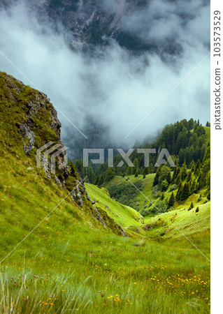 landscape with mountains, hills, grass, rocks, trees and fog landscape with mountains, hills, grass, rocks, trees and fog 103573529