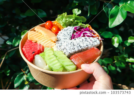 fruit and vegetable salad or cantaloupe, dragon fruit and lettuce salad fruit and vegetable salad or cantaloupe, dragon fruit and lettuce salad 103573743