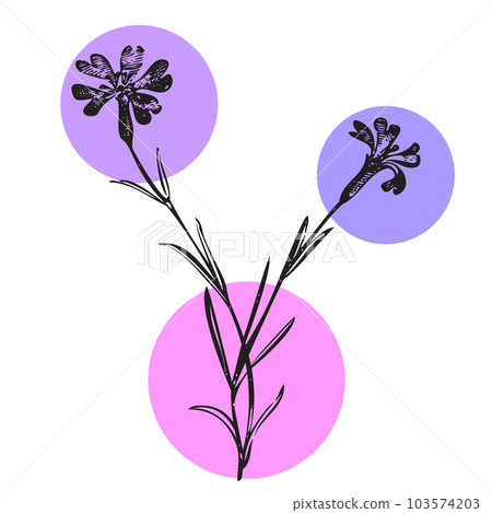 Botanical hand drawn wildflower on color patch isolated white background. Vintage creative flower bouquet. Vector illustration greeting card, design, poster, print, party, wedding invitation, birthday Botanical hand drawn wildflower on color patch isolated white background. Vintage creative flower bouquet. Vector illustration greeting card, design, poster, print, party, wedding invitation, birthday 103574203