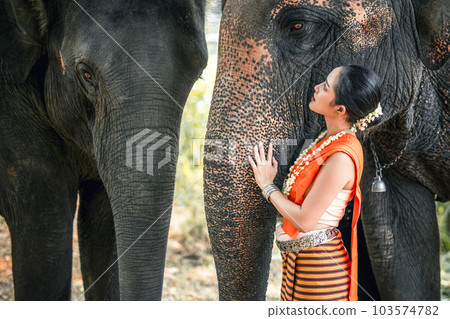 Thai lady beautiful dressing traditional northern style with elephants depict relationship between Asian people and elephant 103574782