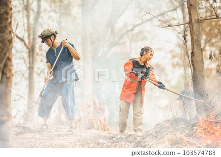 Volunteers fire fighting team people are extinguishing forest fires in dry forest tree hot summer weather. 103574783