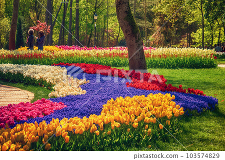 Emirgan Park, Istanbul 103574829