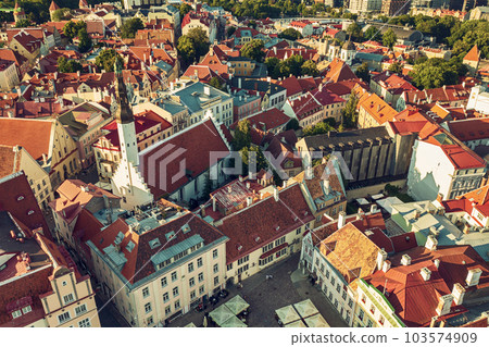 Aerial View of Tallinn 103574909