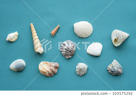 Sea shells pattern. Summery seashells background. Sea shells pattern. Summery seashells background. 103575292
