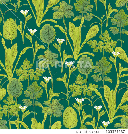 Seamless pattern with herbs. Green design with medicinal plants. Seamless pattern with herbs. Green design with medicinal plants. 103575387