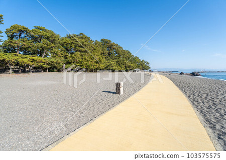 Katsurahama 103575575