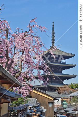 法觀寺五層塔（八坂塔） 103575688