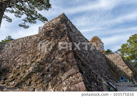 Kochi Castle Kochi Castle 103575838