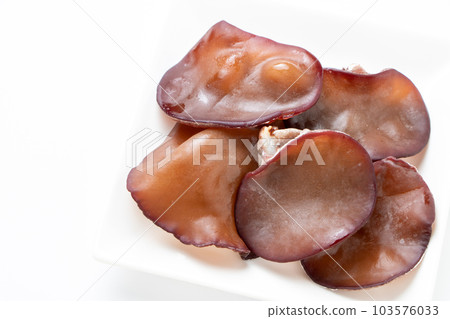 Live jellyfish (Aragami jellyfish). (white background) Live jellyfish (Aragami jellyfish). (white background) 103576033