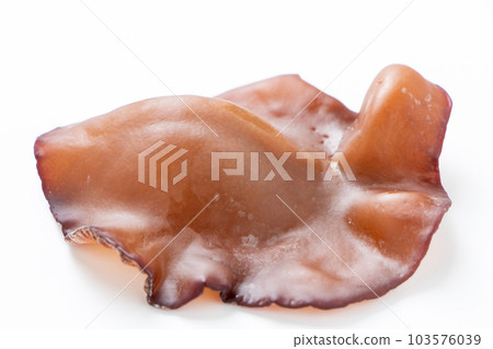 Live jellyfish (Aragami jellyfish). (white background) 103576039