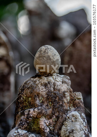 善心峰寺 103576177