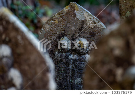 善心峰寺 103576179