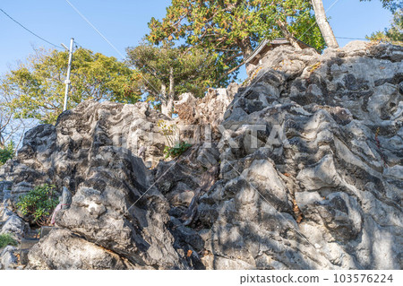 善心峰寺 103576224