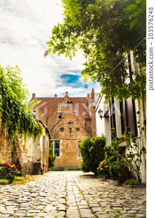 Empty Cobblestone street or laneway in the Groot Begijnhof, the large beguinage of the medieval city Empty Cobblestone street or laneway in the Groot Begijnhof, the large beguinage of the medieval city 103576248
