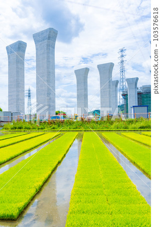 新名神高速公路施工現場淀川左岸 103576618