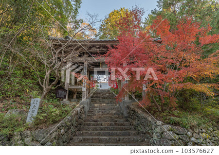 大日寺 大日寺 103576627