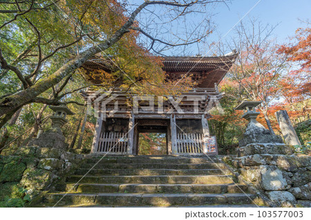 Takeyuji 103577003