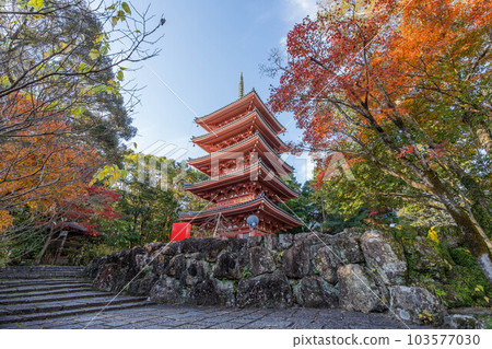 Chikurin吉 103577030