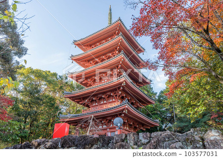 Takeyuji Takeyuji 103577031