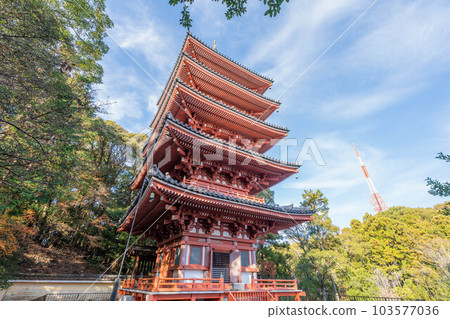 Takeyuji Takeyuji 103577036