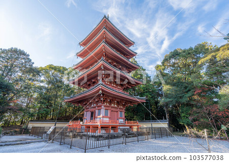 Takeyuji Takeyuji 103577038