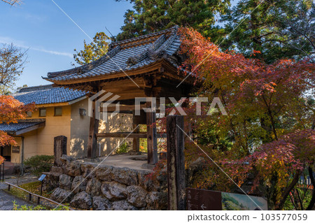 Chikurin吉 Chikurin吉 103577059