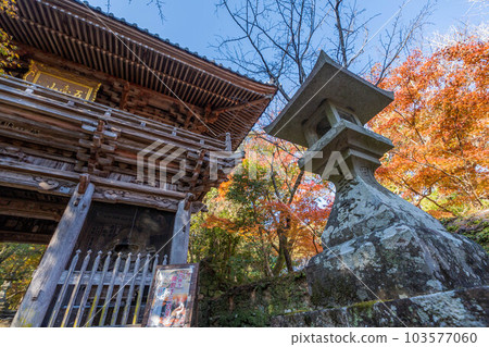 Chikurin吉 Chikurin吉 103577060