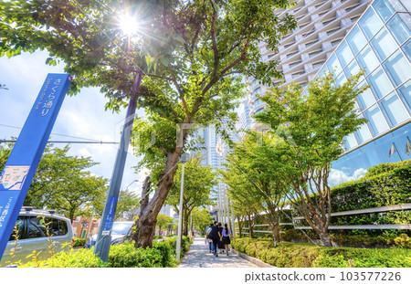 港未來街景,橫濱櫻花通 港未來街景,橫濱櫻花通 103577226