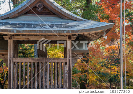 Tosa Shrine Tosa Shrine 103577260