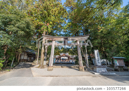 Tosa Shrine 103577266