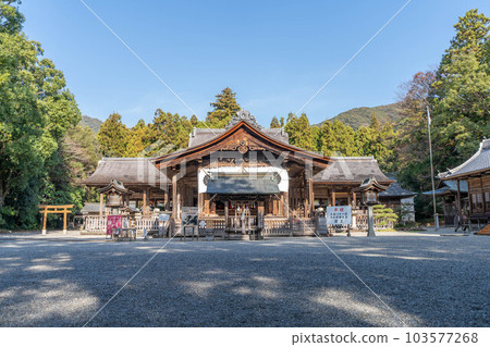 Tosa Shrine 103577268