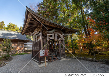 土佐神社 土佐神社 103577278