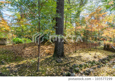 土佐神社 103577299