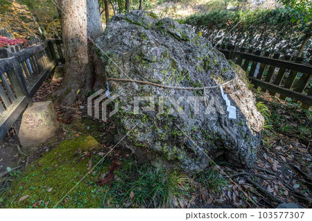 土佐神社 103577307