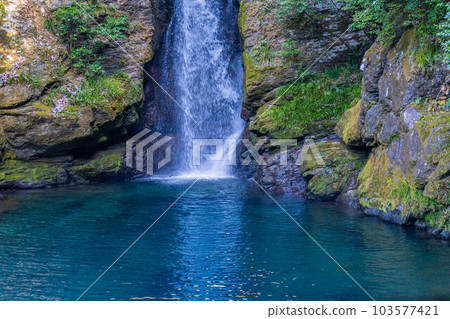 Nikofuchi Nikofuchi 103577421