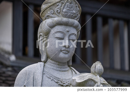Beluzenji Beluzenji 103577999