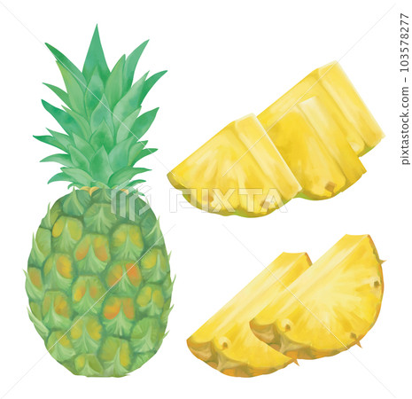 Hand-drawn various pineapples 103578277