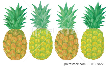 Hand-drawn pineapple set 103578279