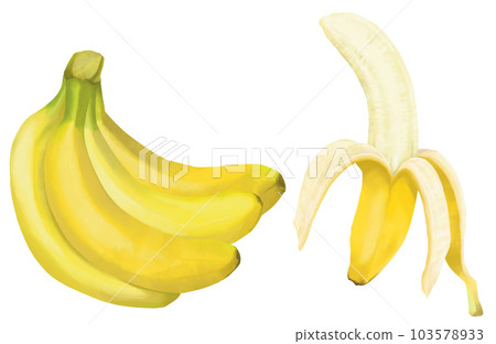 Set of hand drawn bananas 103578933