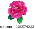 Illustration of Rose Maria Callas (vector illustration) 103579282