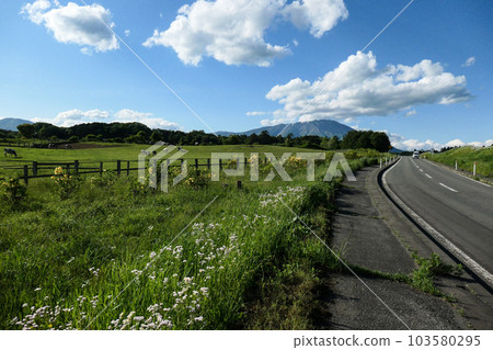 小岩井農場,日本最大的私人農場,初夏的牧場風光和富士山。 小岩井農場,日本最大的私人農場,初夏的牧場風光和富士山。 103580295