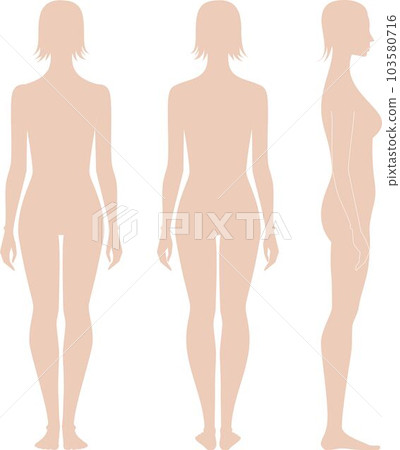 Female figure template. Fashion croquis. Female figure template. Fashion croquis. 103580716