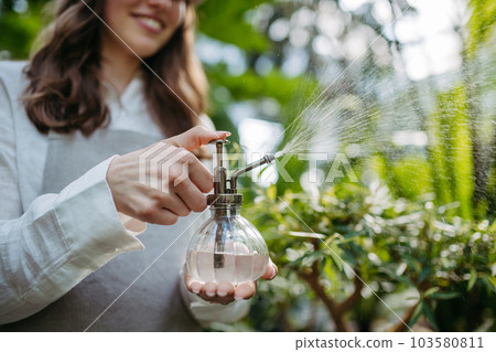 Close up of woman watering plants in a greenhouse. 103580811
