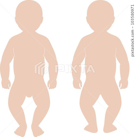 Figure of a baby. Front and back. Figure of a baby. Front and back. 103580971