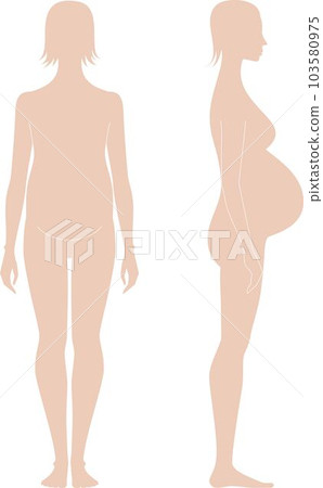 Pregnant female figure template. Front and side. Pregnant female figure template. Front and side. 103580975