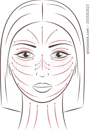 Vector illustration of female face. Vector illustration of female face. 103581023