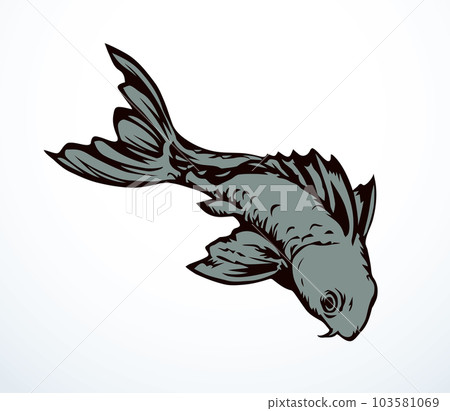 Vector drawing. Fish in the water 103581069